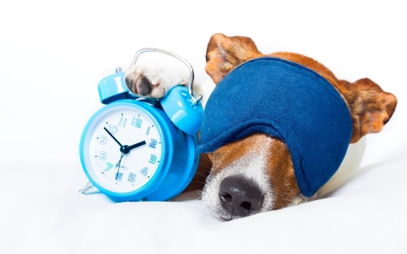 dormire